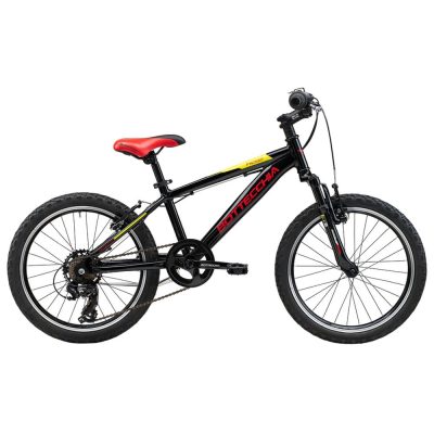 Bici bottecchia 032 da bambino ruota 20" colore nero